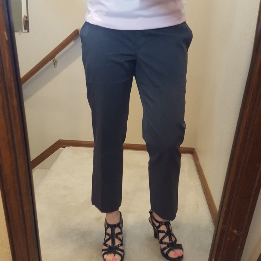 Ann Taylor Loft ankle pants